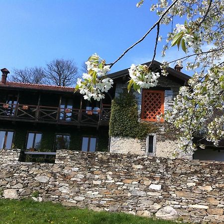 Il Ciliegio Selvatico Apartment Verbania Luaran gambar