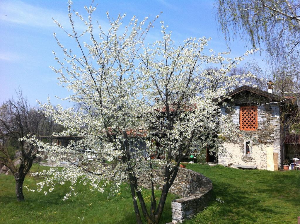 Il Ciliegio Selvatico Apartment Verbania Luaran gambar