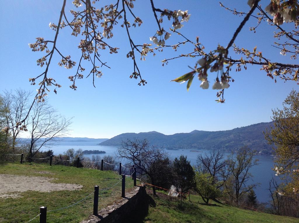 Il Ciliegio Selvatico Apartment Verbania Luaran gambar