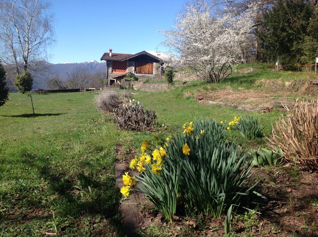 Il Ciliegio Selvatico Apartment Verbania Luaran gambar