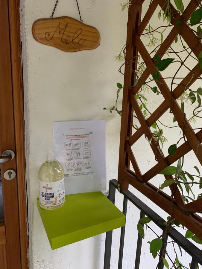 Il Ciliegio Selvatico Apartment Verbania Luaran gambar